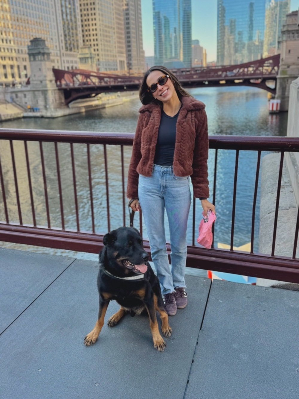 Blank NYC Brown Faux Fur Cropped Coat